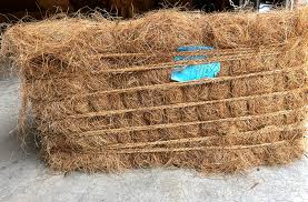 Coir Fiber